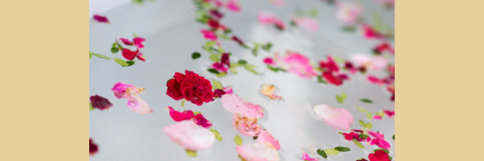🌸 Gathering Blossoms: Flower Magic for the Threshold